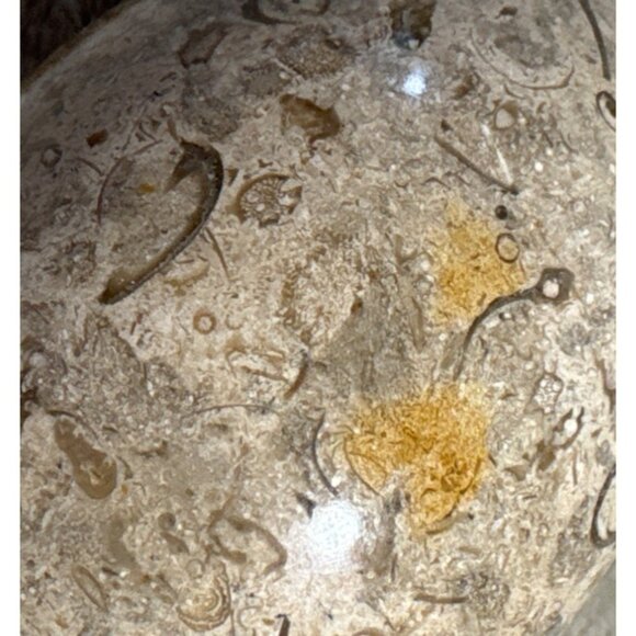 Polished Fossilized Stone Egg With Intricate Natural Patterns Beige Brown 4" - Picture 2 of 7